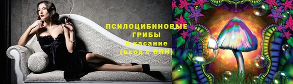 молекула духа Воткинск